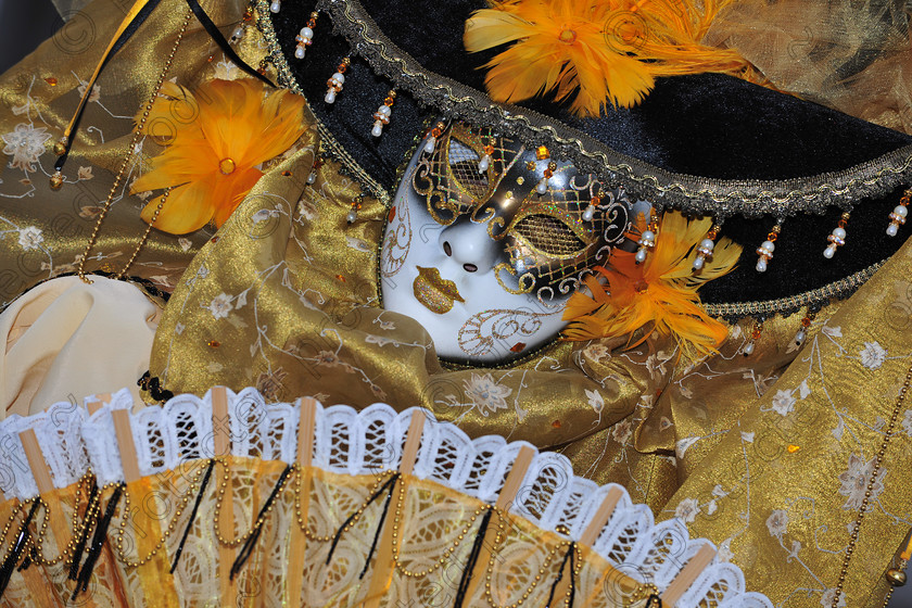 D3X 1312 
 venice mask 
 Keywords: carnival,venice,mask,carnivale,