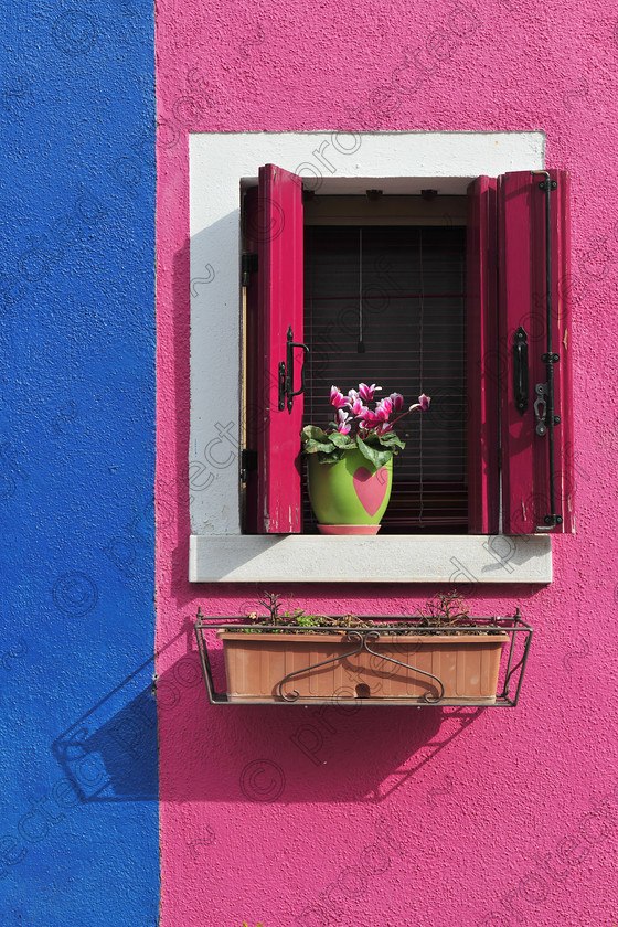 D3X 0456 
 Burano 
 Keywords: window,plants,shutter,venice